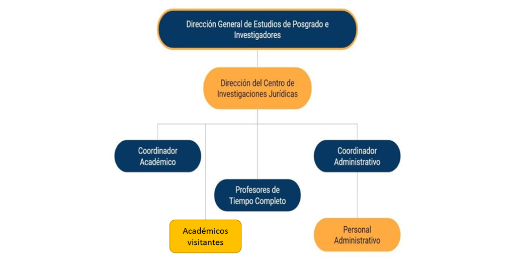 Estructura Orgánica